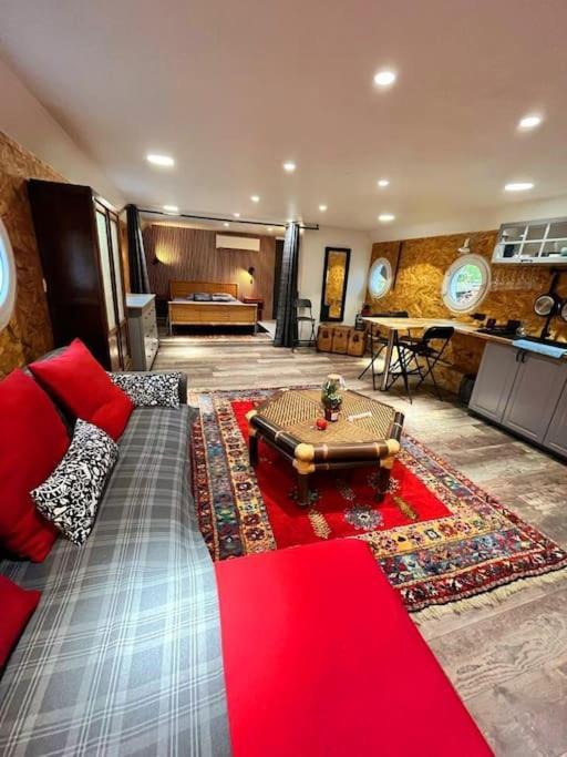 Magnifique Peniche Cosy Et Spacieuse A Toulouse Kültér fotó
